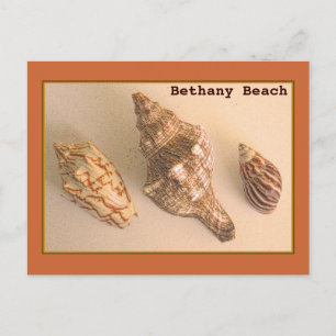 Bethany Shells Postcard