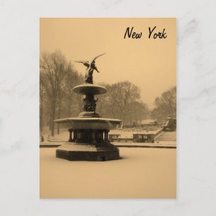Bethesda Fountain in Winter Postcard