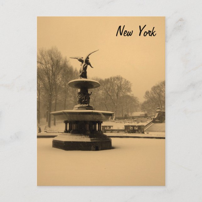 Bethesda Fountain in Winter Postcard (Front)