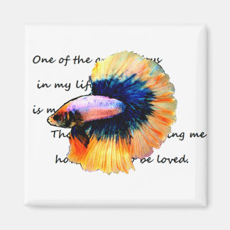 betta(闘魚)マグネット magnet