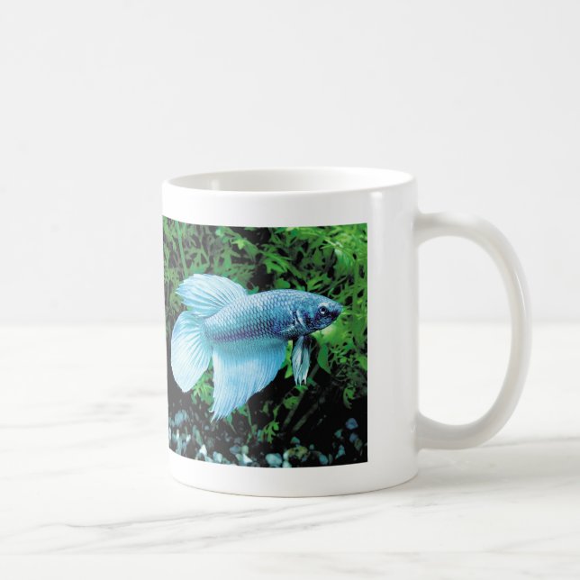 betta,cobalt blue coffee mug (Right)