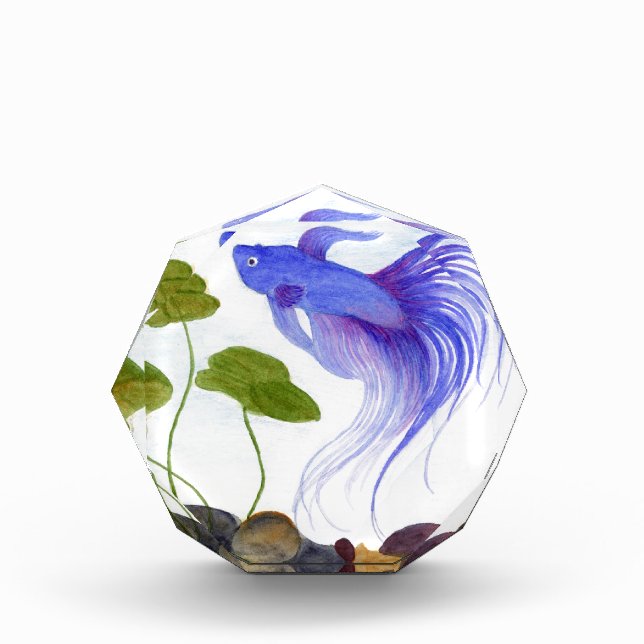 Betta Fish Award (Front)