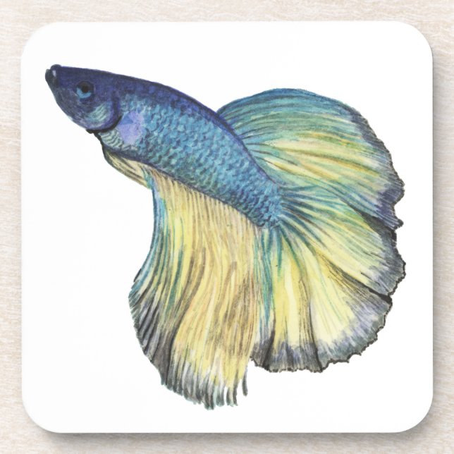 Betta Fish Beverage Coaster (Front)