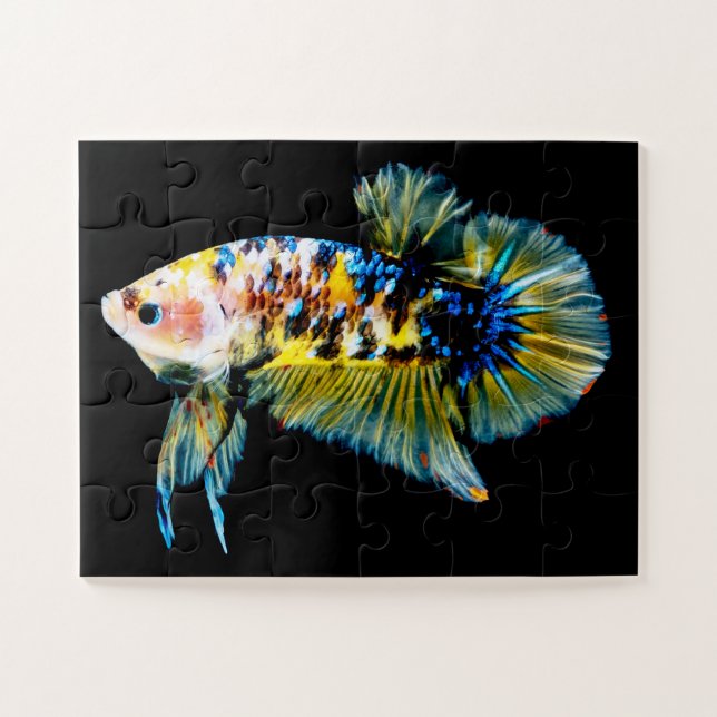 Betta Fish Blue & Gold Jigsaw Puzzle (Horizontal)