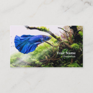 Betta Fish Business Card