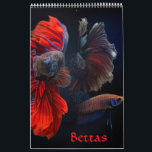 Betta fish Calendar<br><div class="desc">Betta fish Calendar</div>