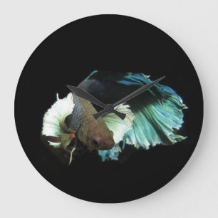 Betta fish clock