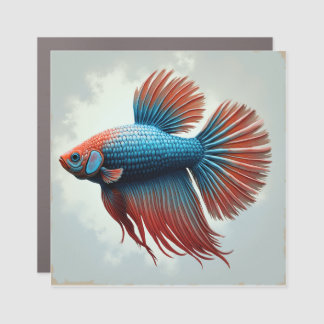 betta fish magnet