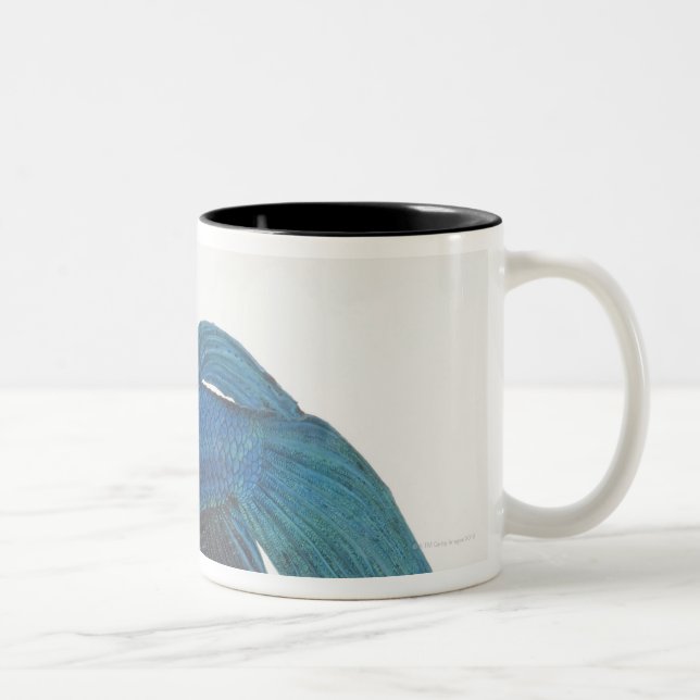 Betta Fish or Male Blue Siamese Fighting Fish Two-Tone Coffee Mug (Right)