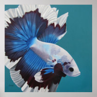 Betta Fish Poster