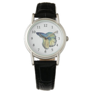 Betta Fish Watch