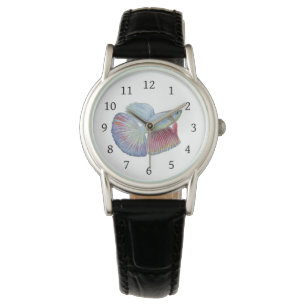 Betta Fish Watch