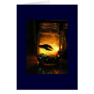 Betta in a Jar Cards