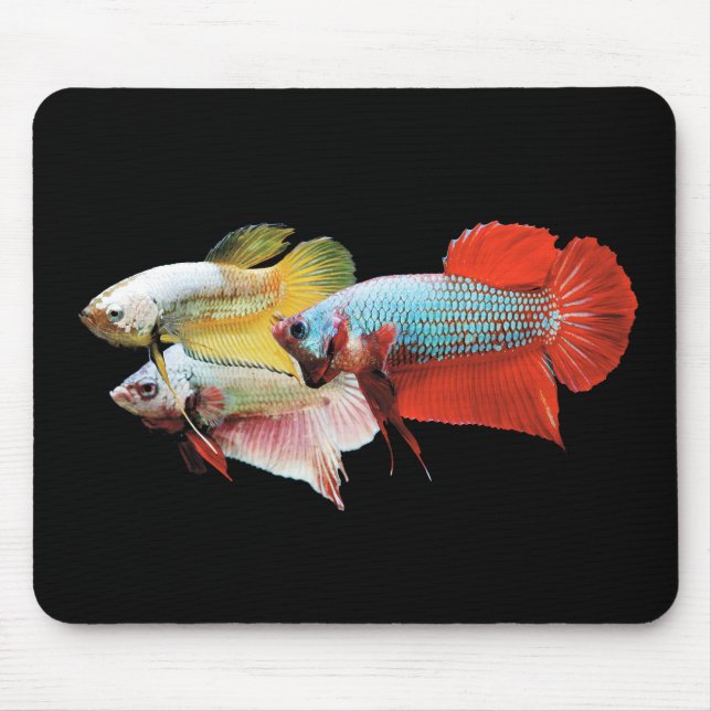 Betta Mouse Pad (Front)