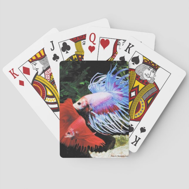 Betta Poker Cards (Back)
