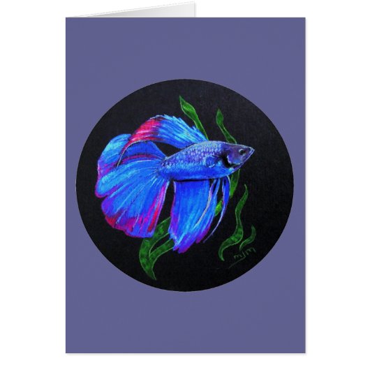 BETTA!!! Siamese Fighting Fish Cards (Front)
