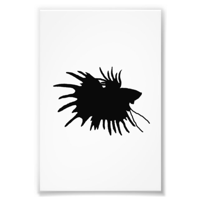 Betta Silhouette Love Siamese Fighting Fish Photo Print (Front)