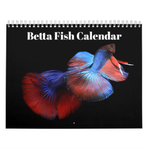 Bettafish 2027 calendar