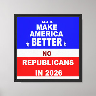 Better America Canvas Print