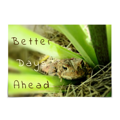 Better Days Ahead Thoughtful Toad Card