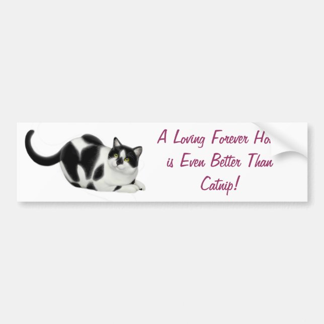 Better Than Catnip Bumper Sticker (Front)