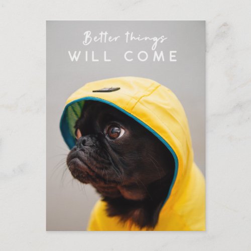 Better Things will Come  Pug Dog Cute Raincoat Postcard