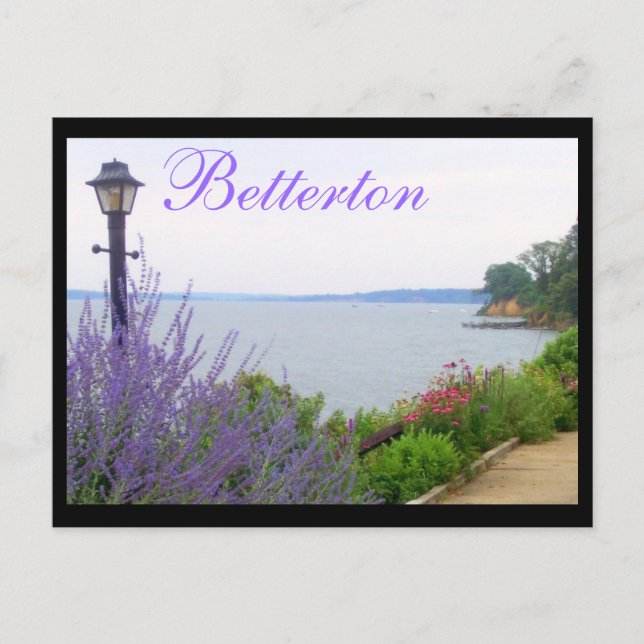 Betterton, MD Summer Flowers Postcard (Front)