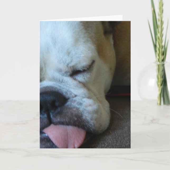 Bettie Bulldog sleepy greeting card (Front)