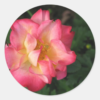 Betty Boop - 24 May 2009 139 Classic Round Sticker