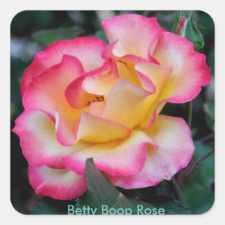 Betty Boop Rose Square Sticker