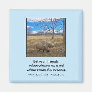 Between Friends... Magnet