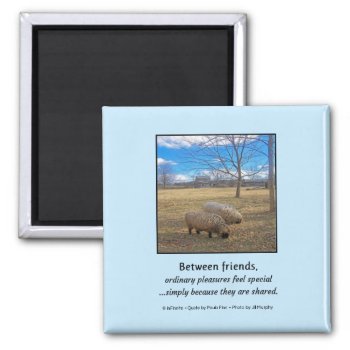 Between Friends... Magnet by inFinnite at Zazzle