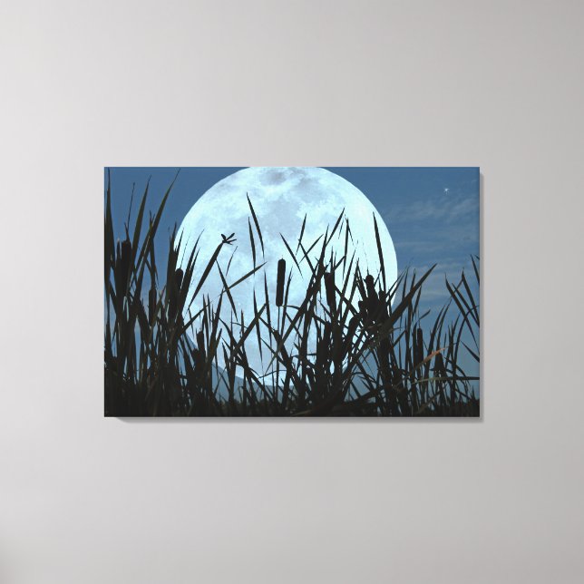 Between Moon and Marsh Canvas Art Print (Front)