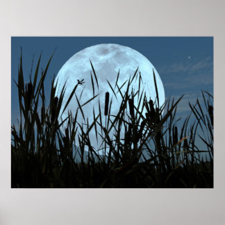 Between Moon and Marsh Poster