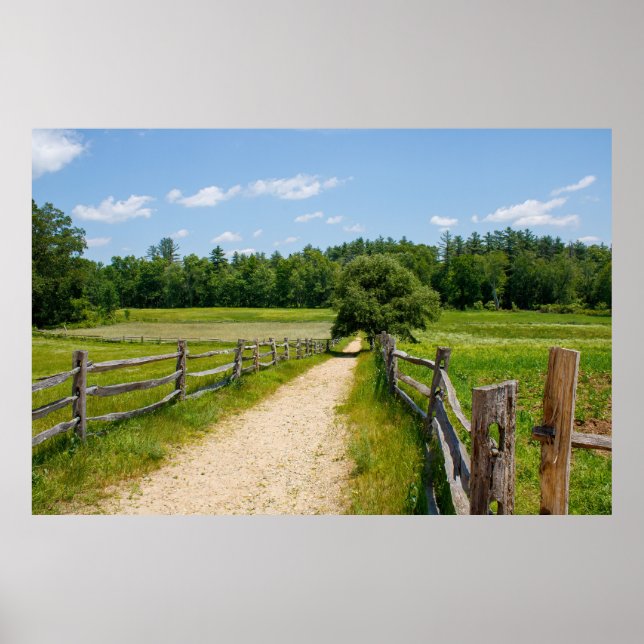 Between the Fences Poster (Front)