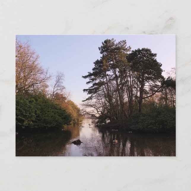 Between The Islands, Roath Park Lake, Cardiff. Postcard (Front)