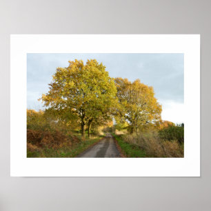 Between the Oaks: Rural Cheshire Poster
