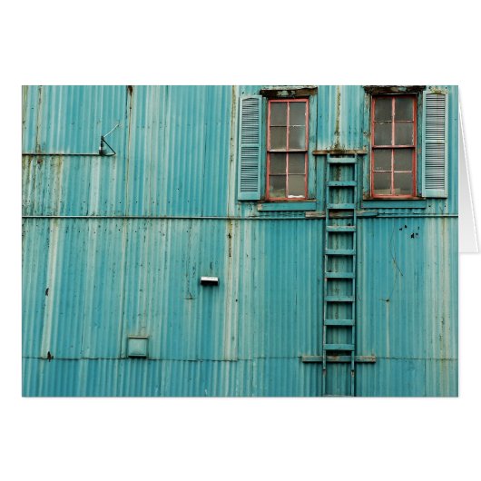 Between Windows (Front Horizontal)