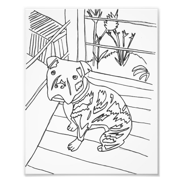 Bev the Pup Print (Front)