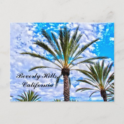 Beverly Hills California Postcard