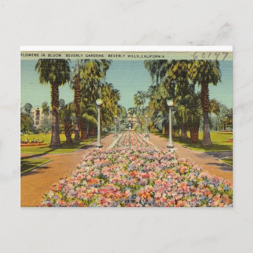 Beverly Hills Flowers Postcard
