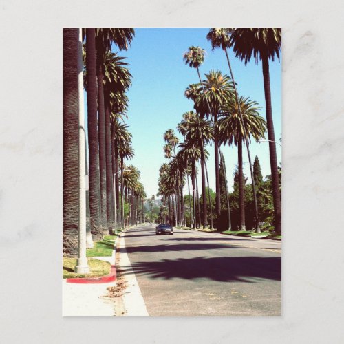 Beverly Hills Postcard