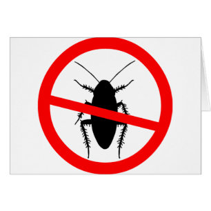 Beware Cockroaches Cards