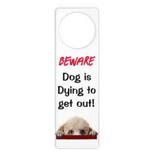 Beware dog Doorhanger Poodle Pup