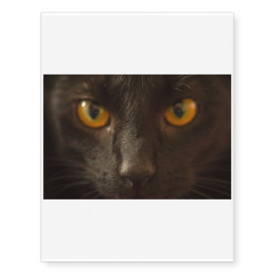 Beware! Here comes the Black Cat Temporary Tattoos