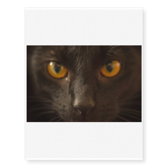 Beware! Here comes the Black Cat Temporary Tattoos (Front)