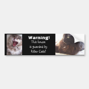 Beware-Killer Cats Bumper Sticker