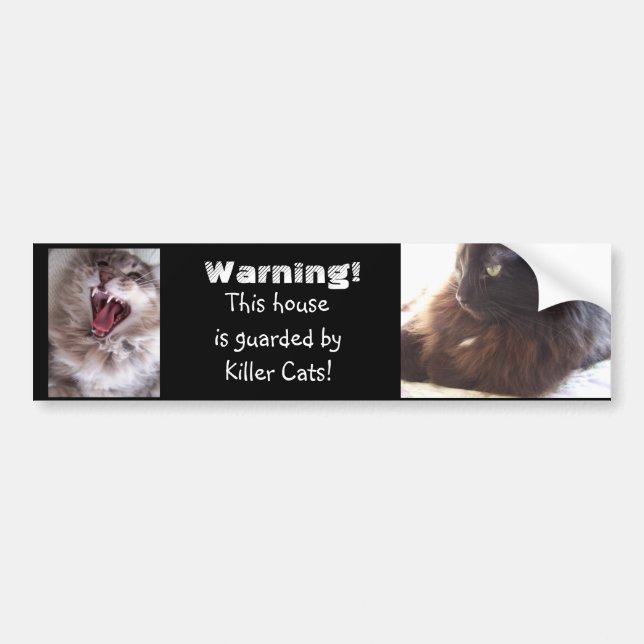 Beware-Killer Cats Bumper Sticker (Front)