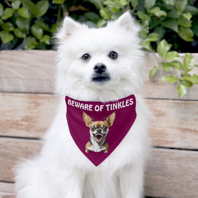 Beware of (Add Dog Name) Personalized Pet Bandana Collar (Dog)