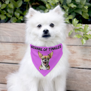 Beware of (Add Dog Name) Personalized Pet Bandana Collar
